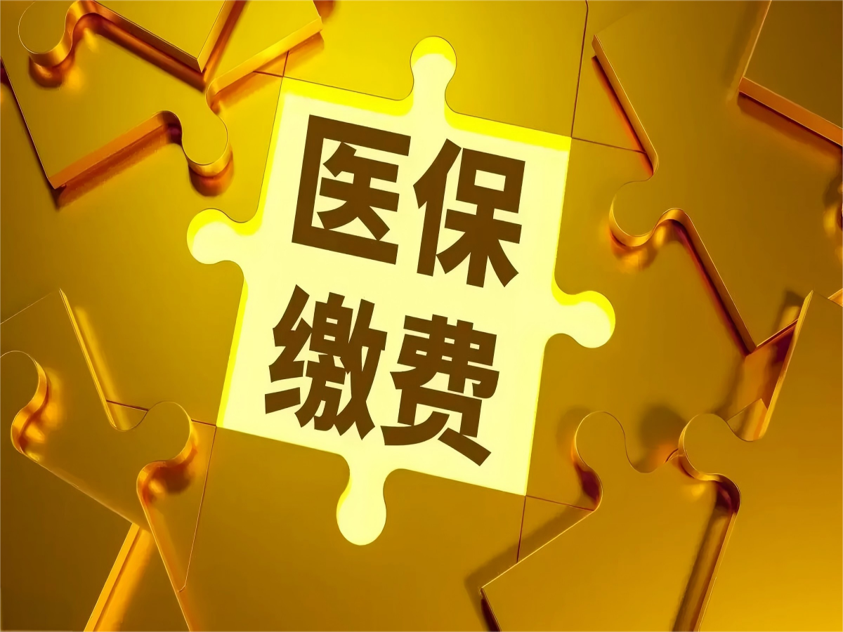DIP付费综合管理系统：医疗支付领域的效率革命与未来展望