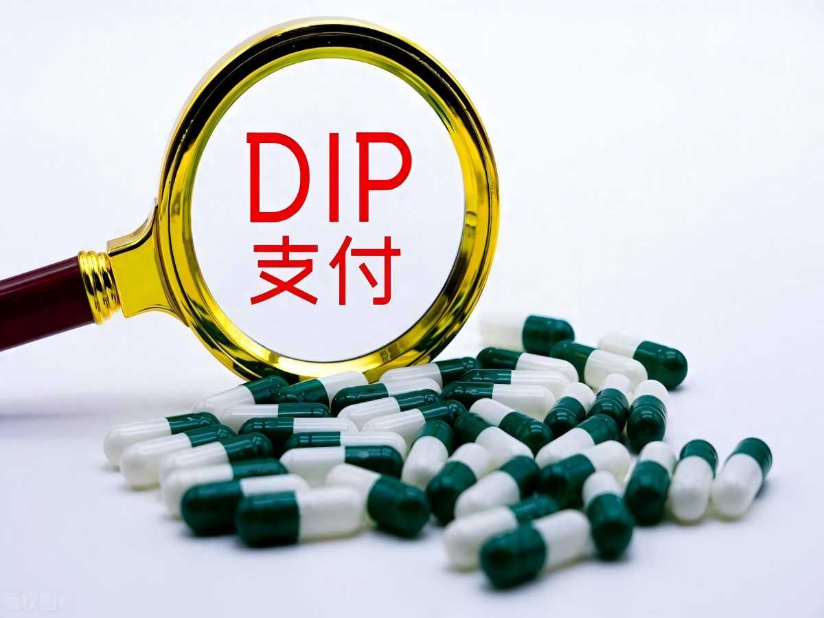DIP付费综合管理系统：革新支付管理，优化企业资源